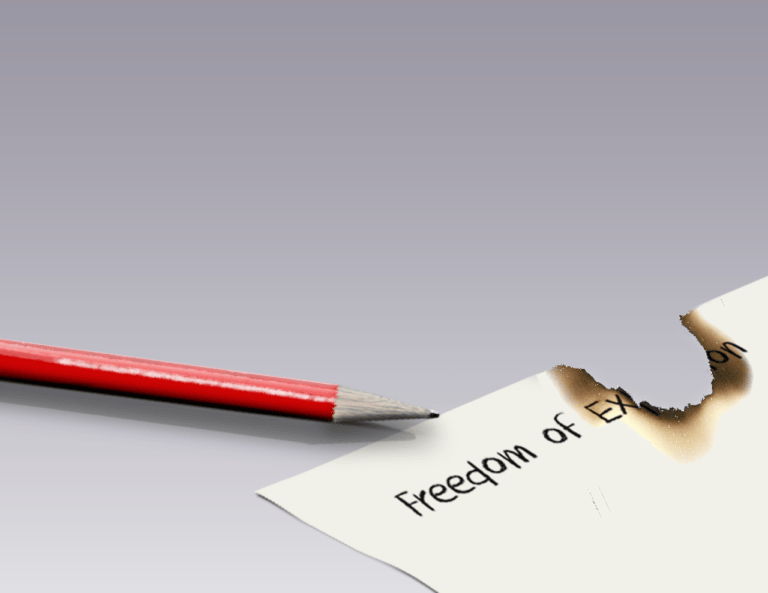 Позиция в защита свободата на словото по повод приетия Закон за цифровите услуги